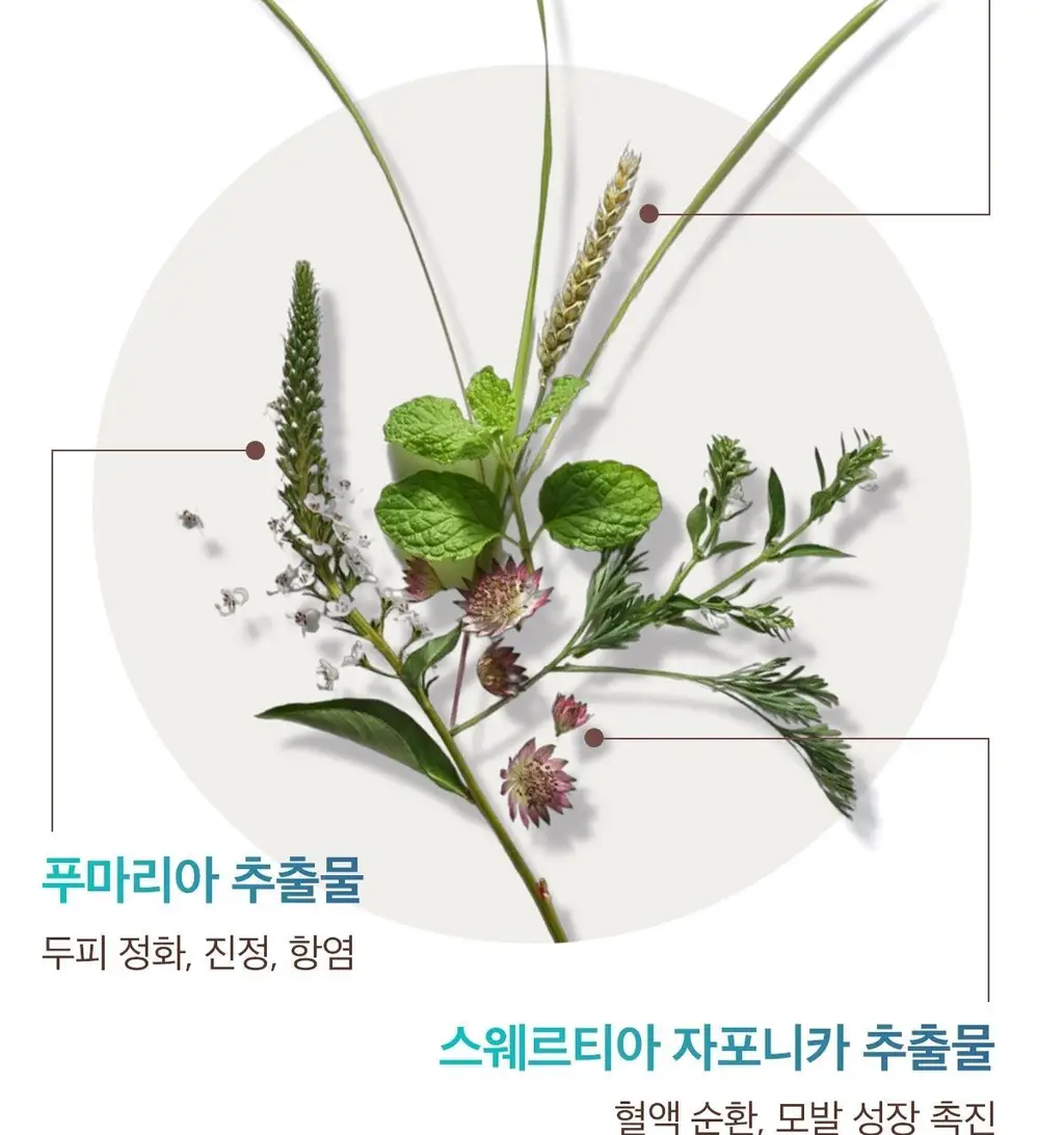 [두피 케어] 모로칸오일 스칼프 밸런싱 샴푸 250ml 상세페이지 16